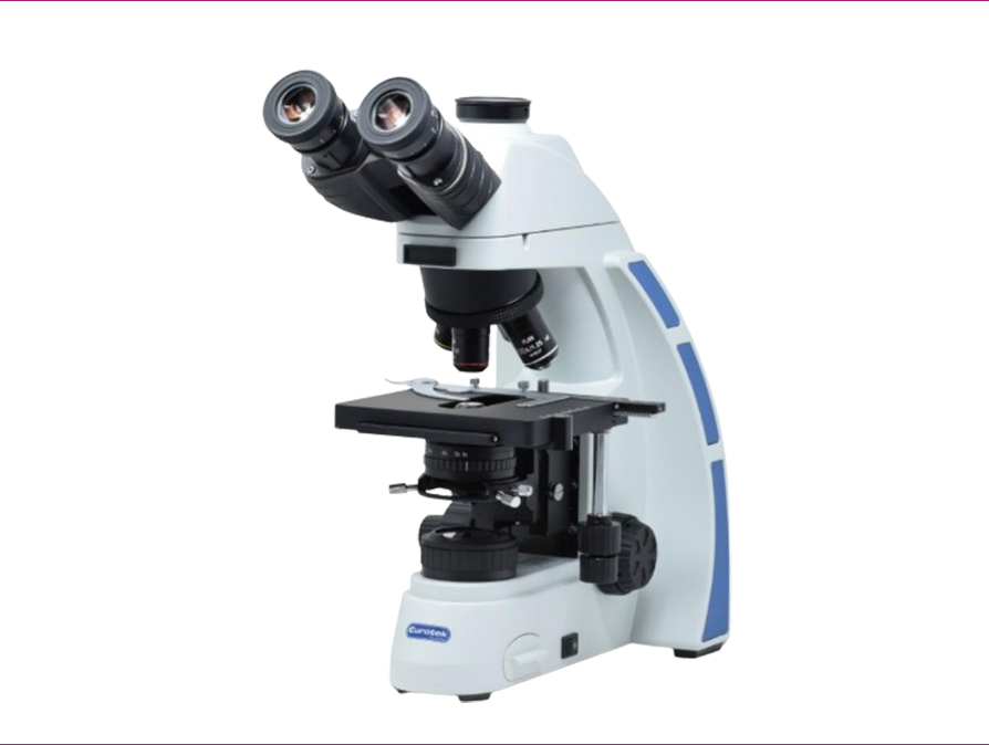 MICROSCOPIO EX300TL