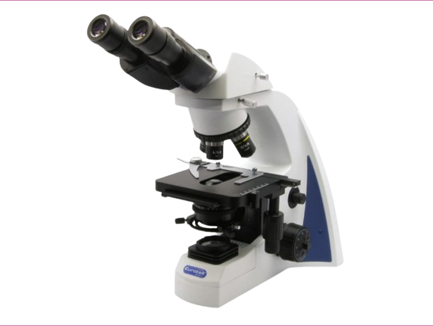 MICROSCOPIO N300TL