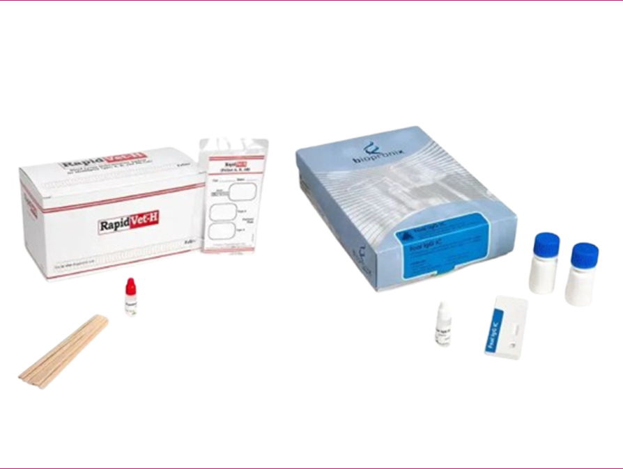 TEST RAPIDI DIAGNOSTICI