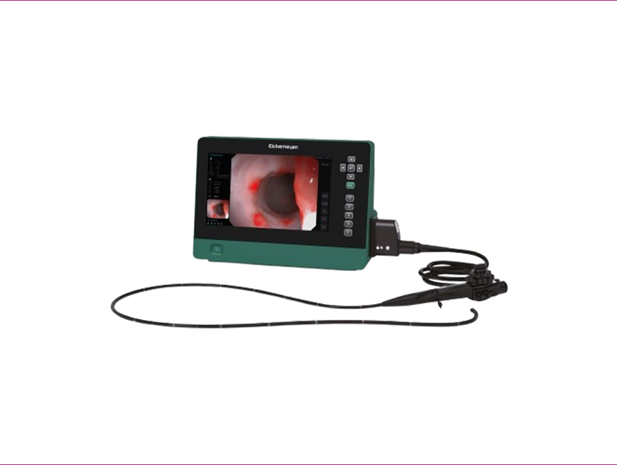 SISTEMA ENDOSCOPIA EICKVIEW 5-IN-1